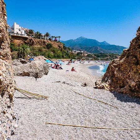 Newly Renovated In With Huge Pool